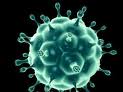 HPV